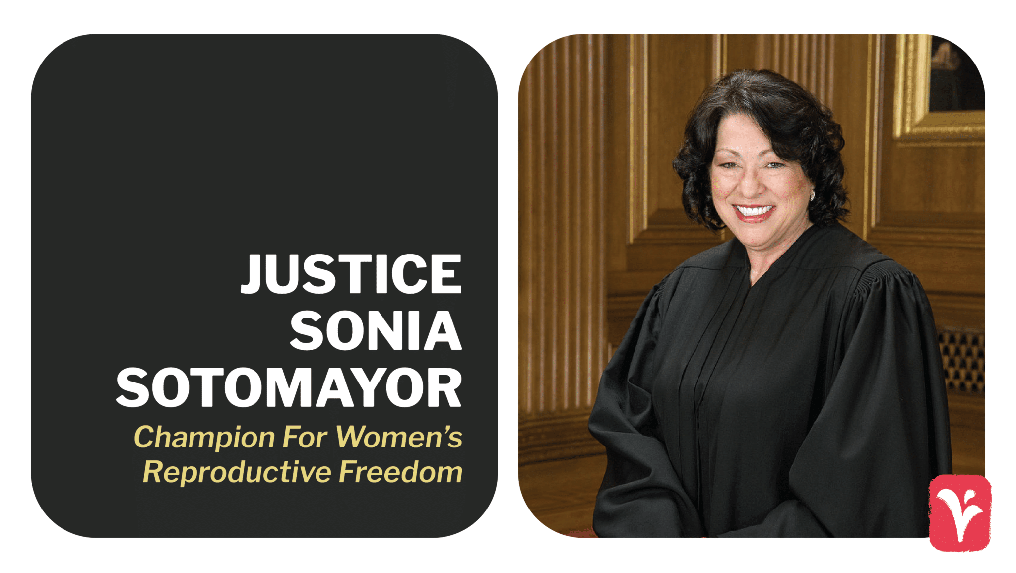 Sonia Sotomayor SB8