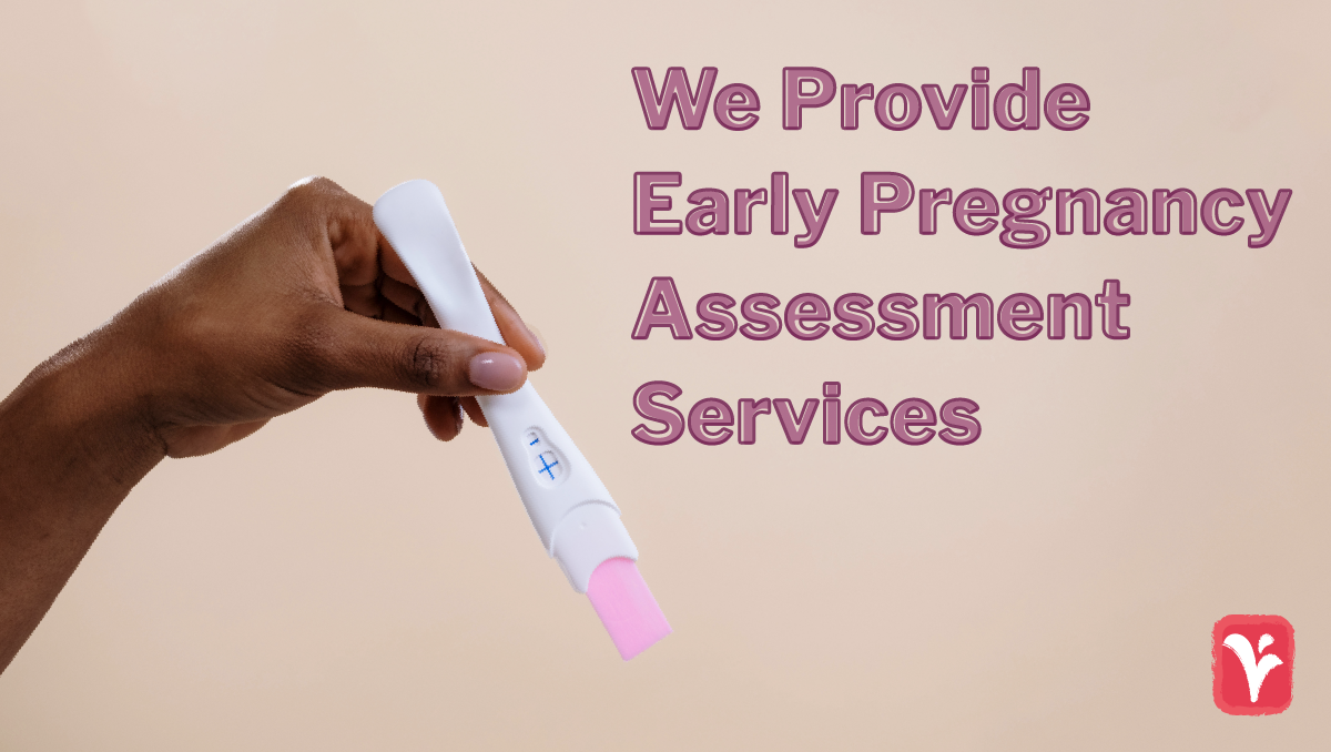Early Pregnancy Assessment Services